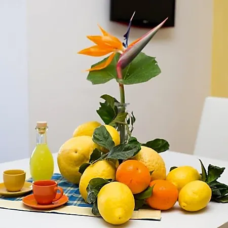 Lemon Flats