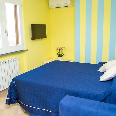 Lemon Flats ソレント